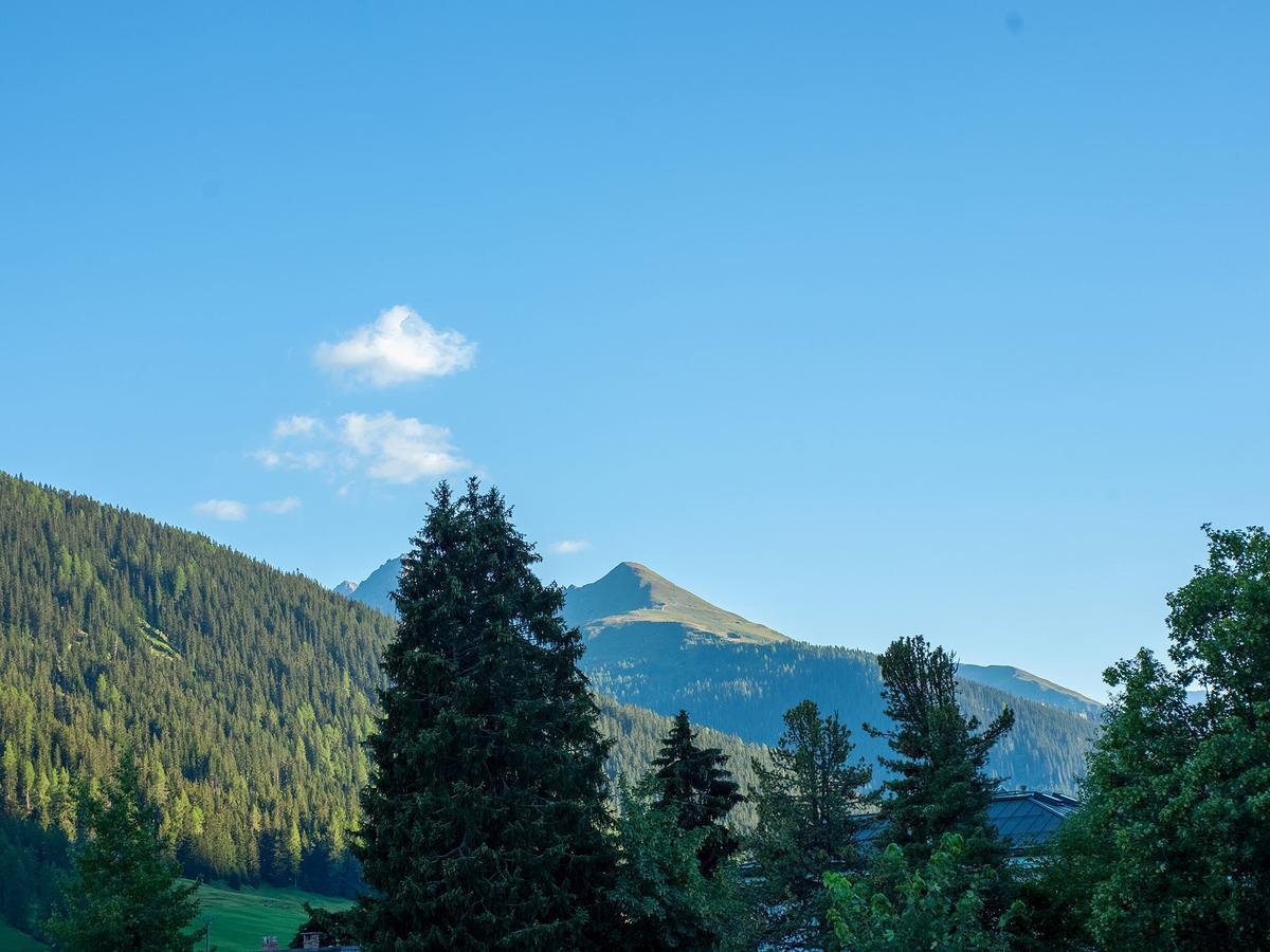होटल Arthaushotel Davos